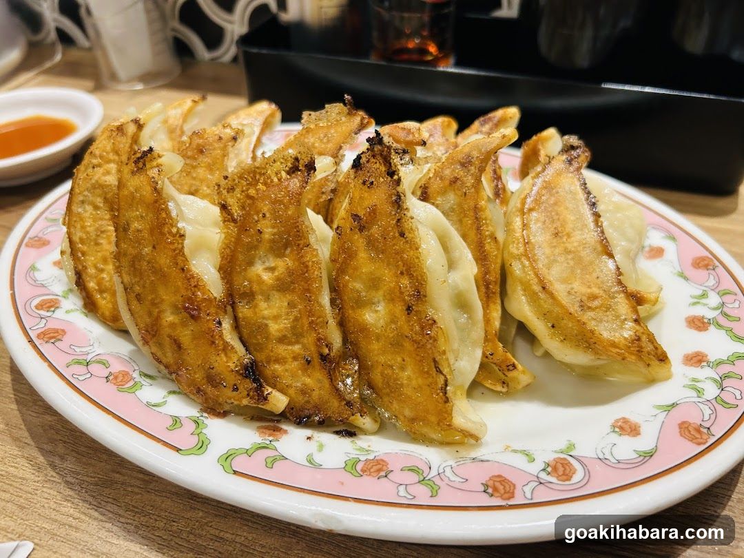 Pan-Fried Dumplings (Gyoza)