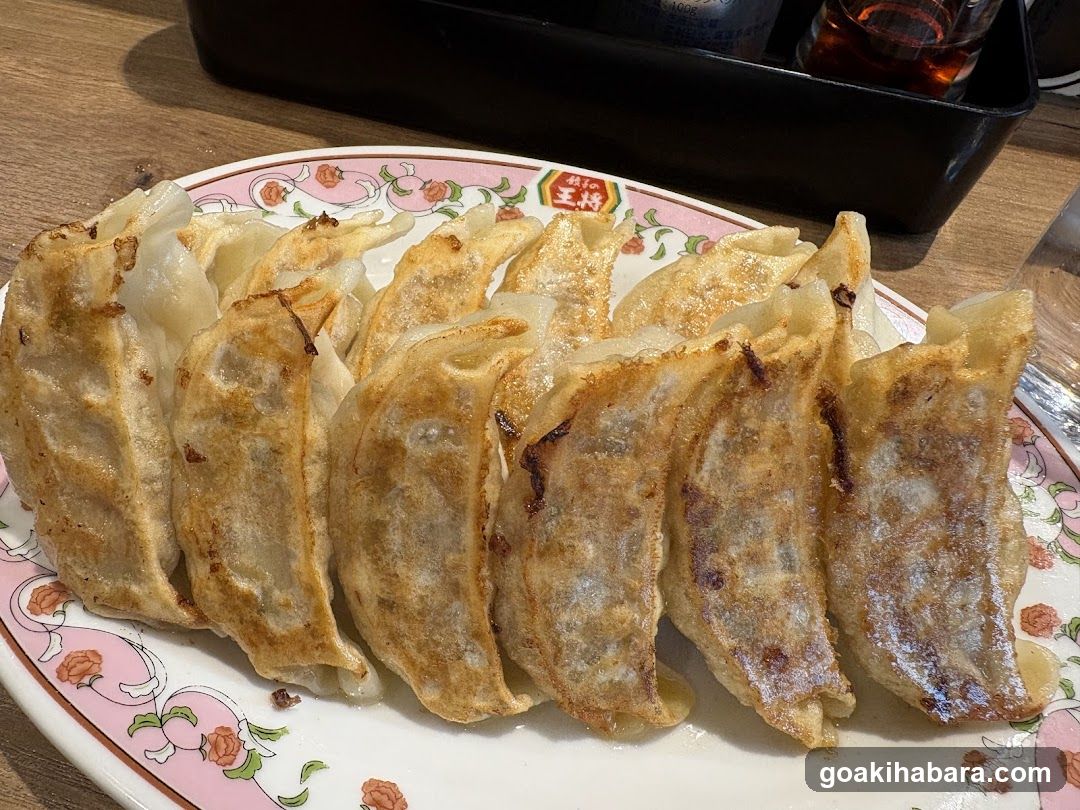 Gyoza on a floral plate