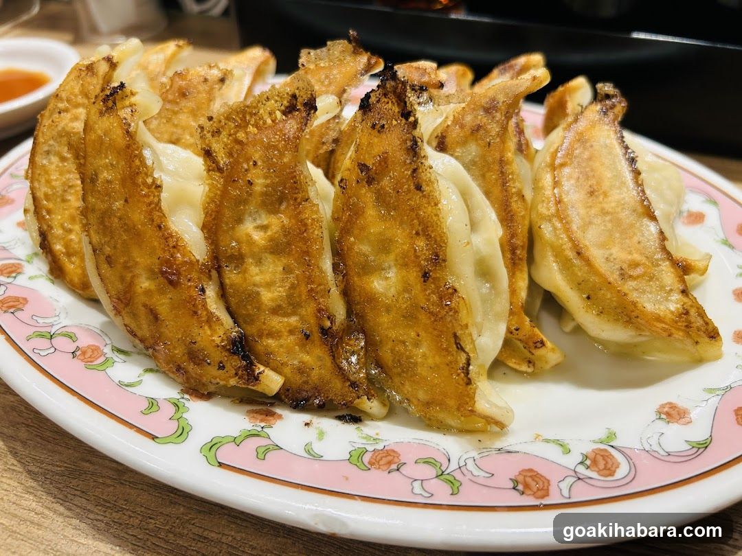 Pan-Fried Dumplings (Gyoza)