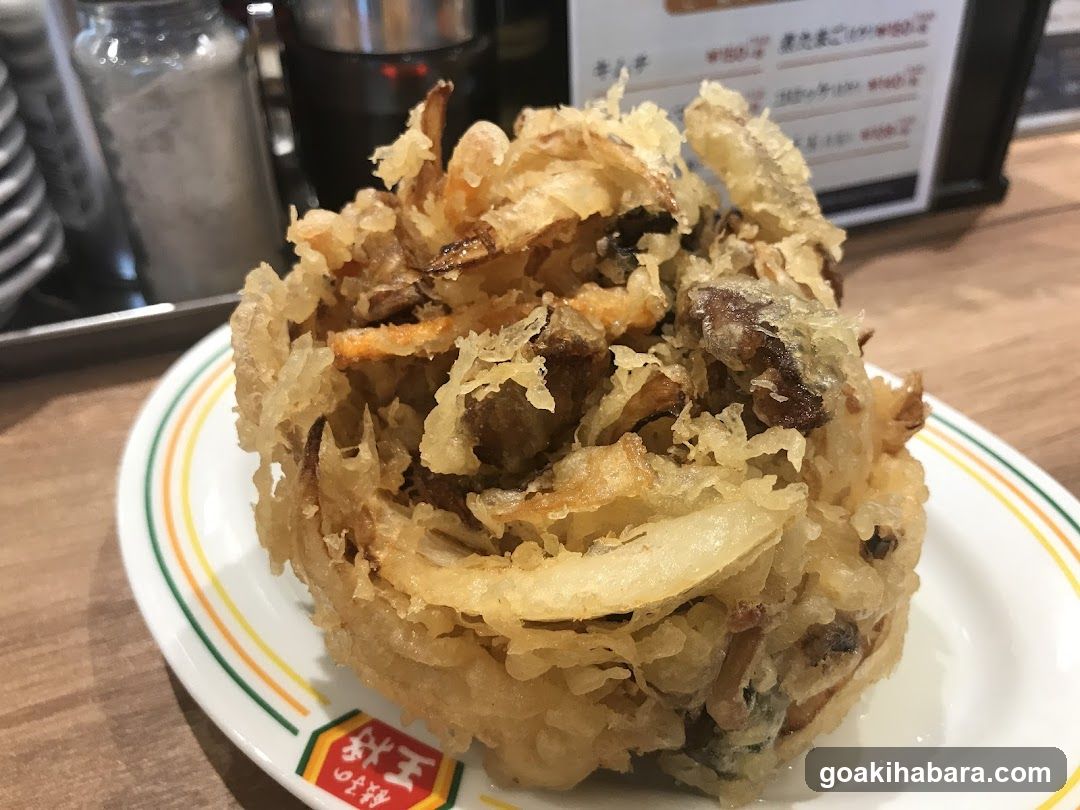 Fried Food Dish