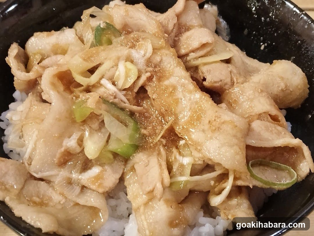 Pork Rice Bowl
