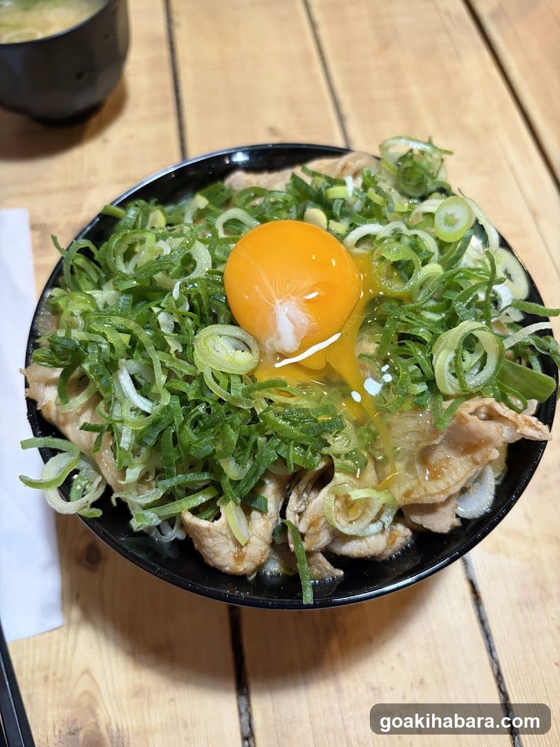 Egg Topped Rice Bowl