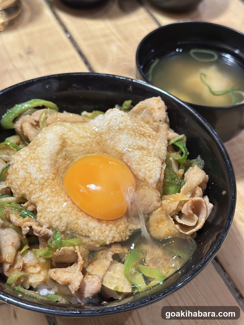 Japanese Rice Bowl with Egg and Soup