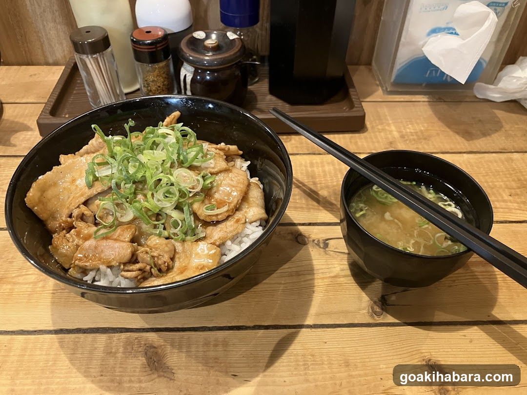 Japanese Rice Bowl with Soup