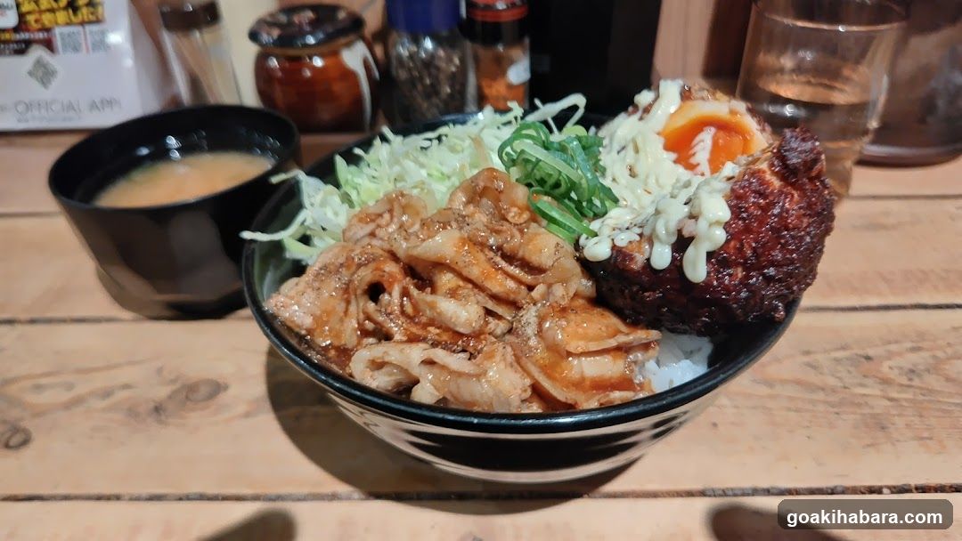 Rice Bowl with Meat and Egg
