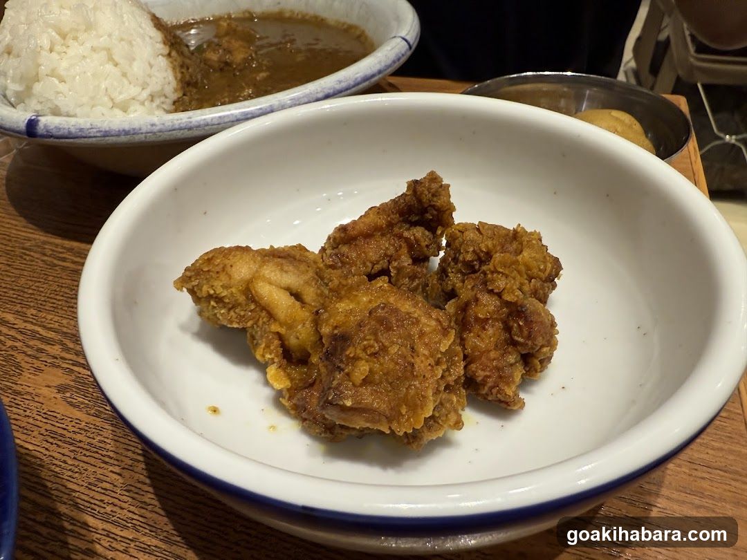 Fried Chicken and Curry Rice