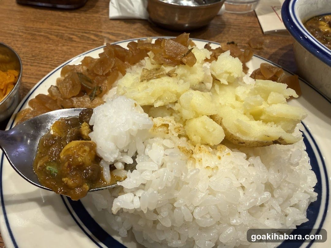 Curry Rice Meal