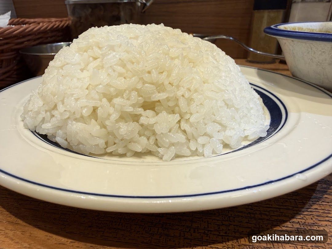 Rice Bowl