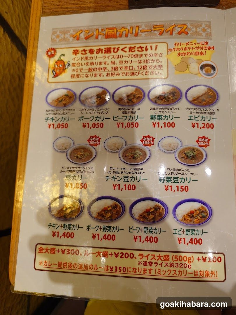 Indian Curry Rice Menu