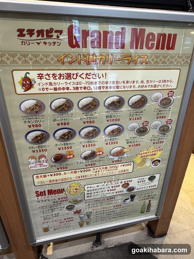 Echigawa Curry Kitchen Grand Menu