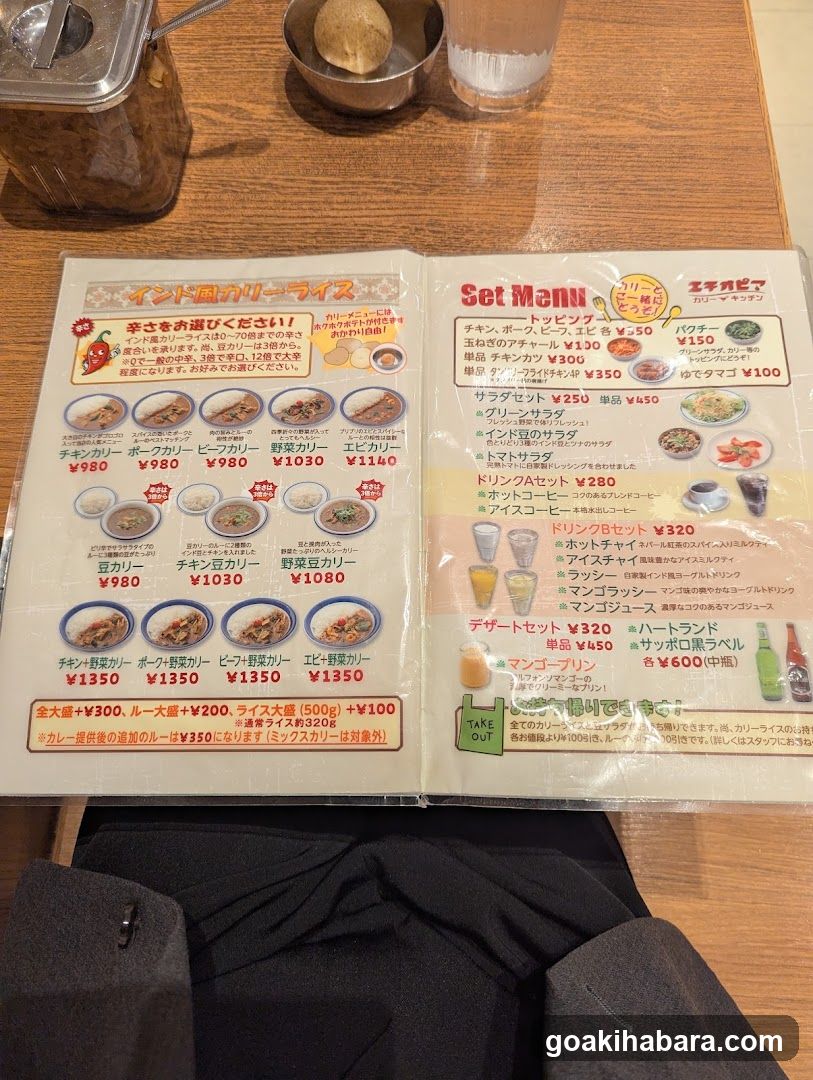 Indian Curry Rice Menu