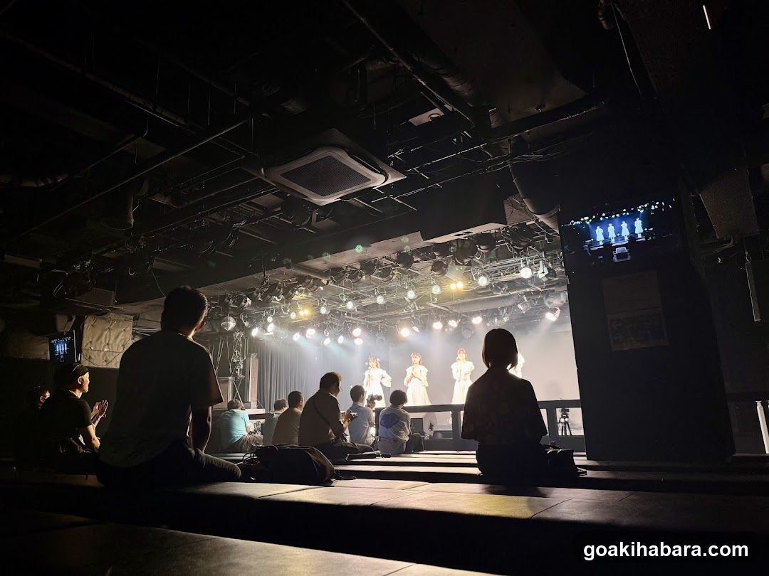 Live Performance in a Dark Venue