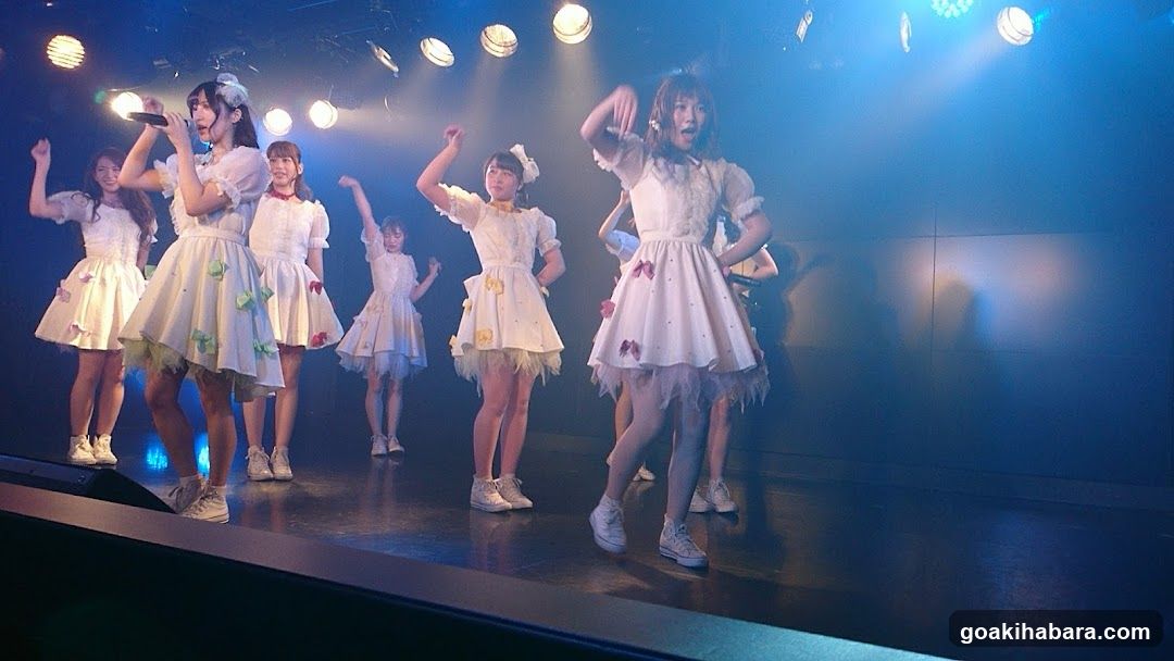 Idol Performance on Stage