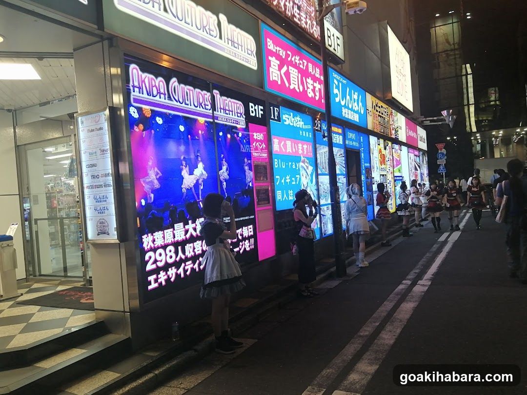 Akihabara Culture Theater Exterior at Night