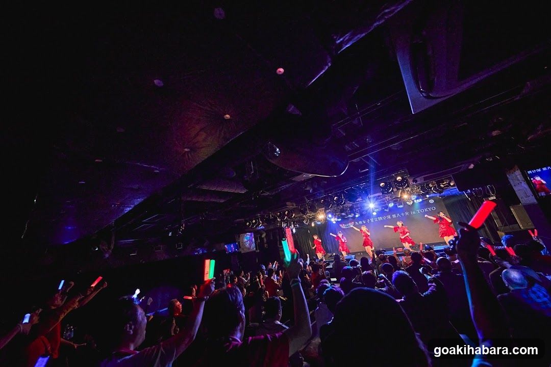 Live Concert Performance