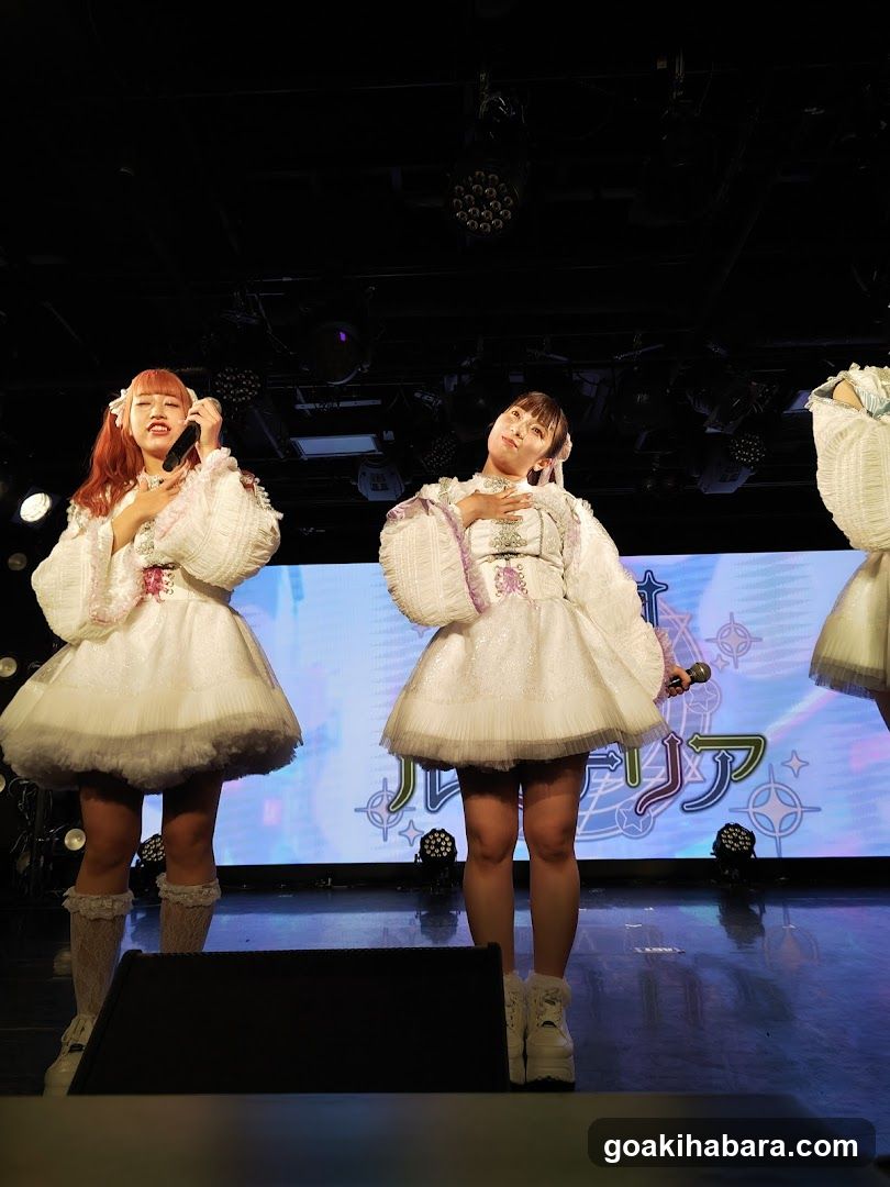 Idol Performance on Stage
