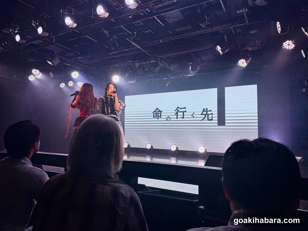 Live Performance on Stage