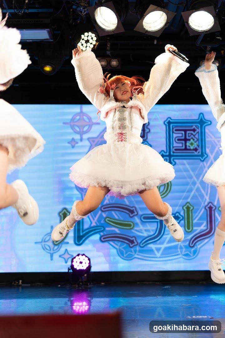 Idol Performance on Stage