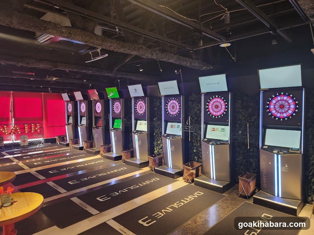 Dart Game Room Interior