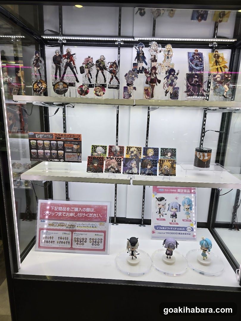 Anime Merchandise Display Case