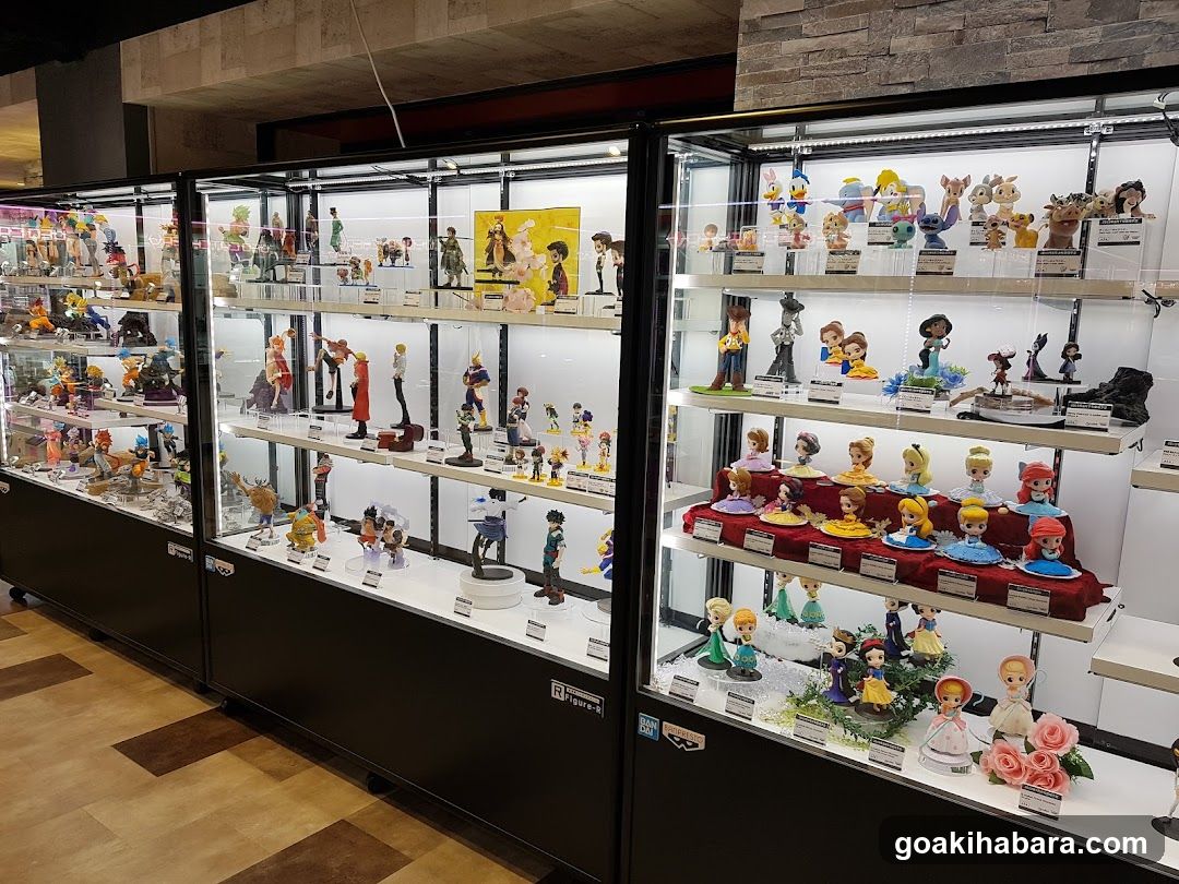 Collectible Figure Display Case