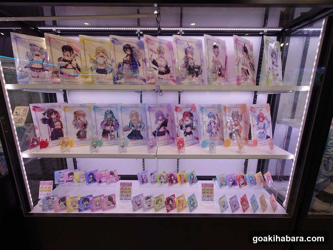 Anime Merchandise Display Case