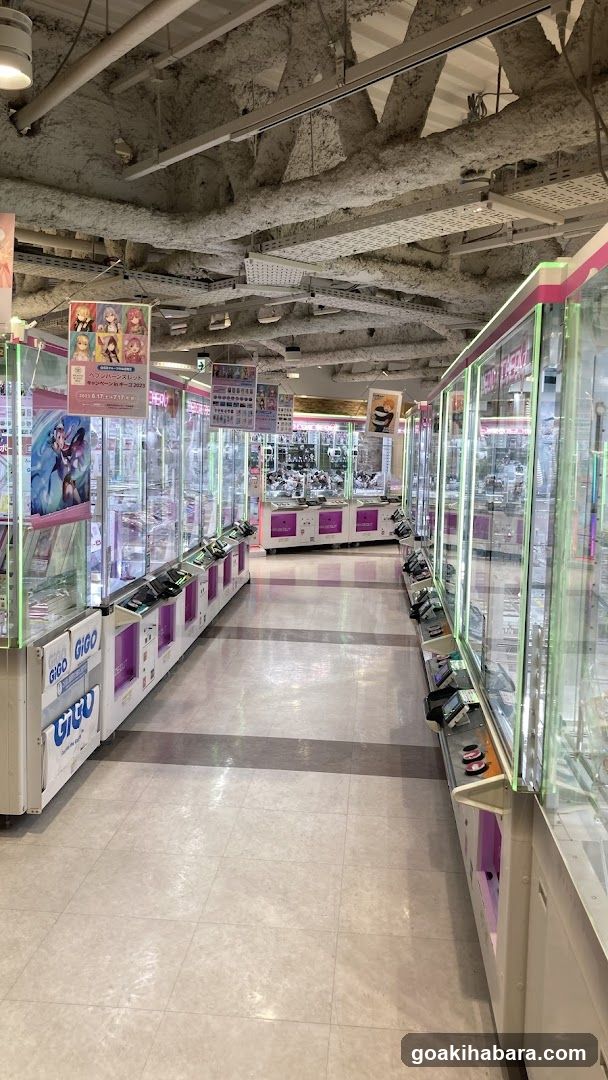 Arcade Hall Interior