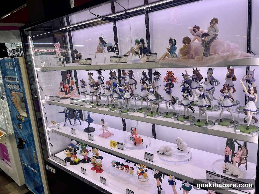 Anime Figure Display Case