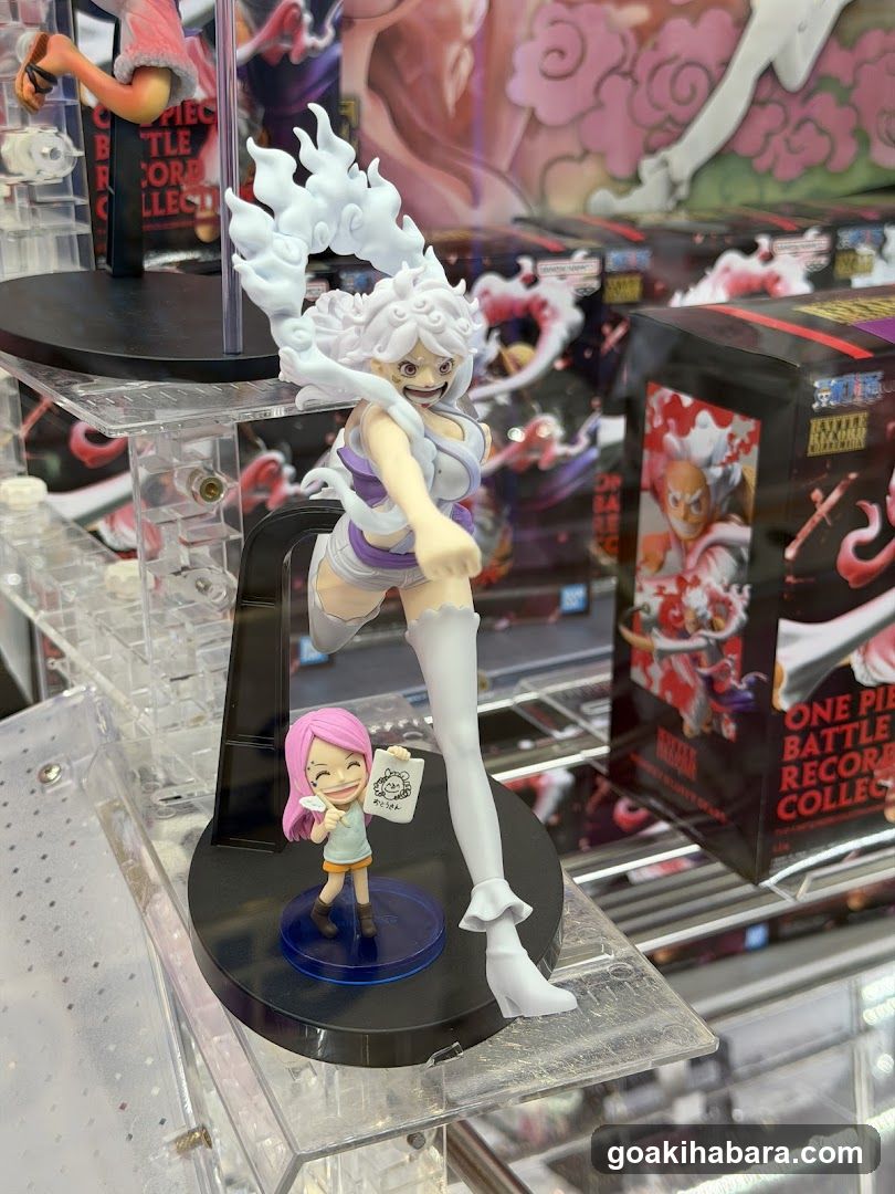 One Piece Figure Display