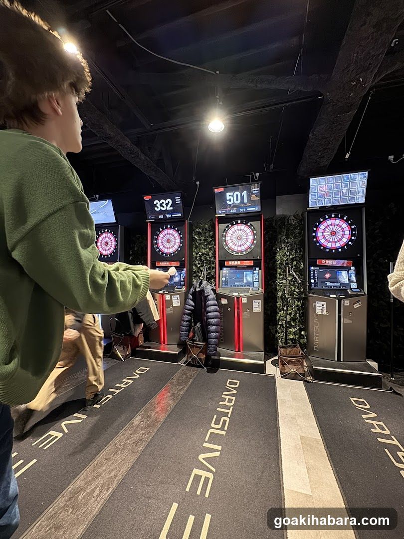 Dart Game Setup