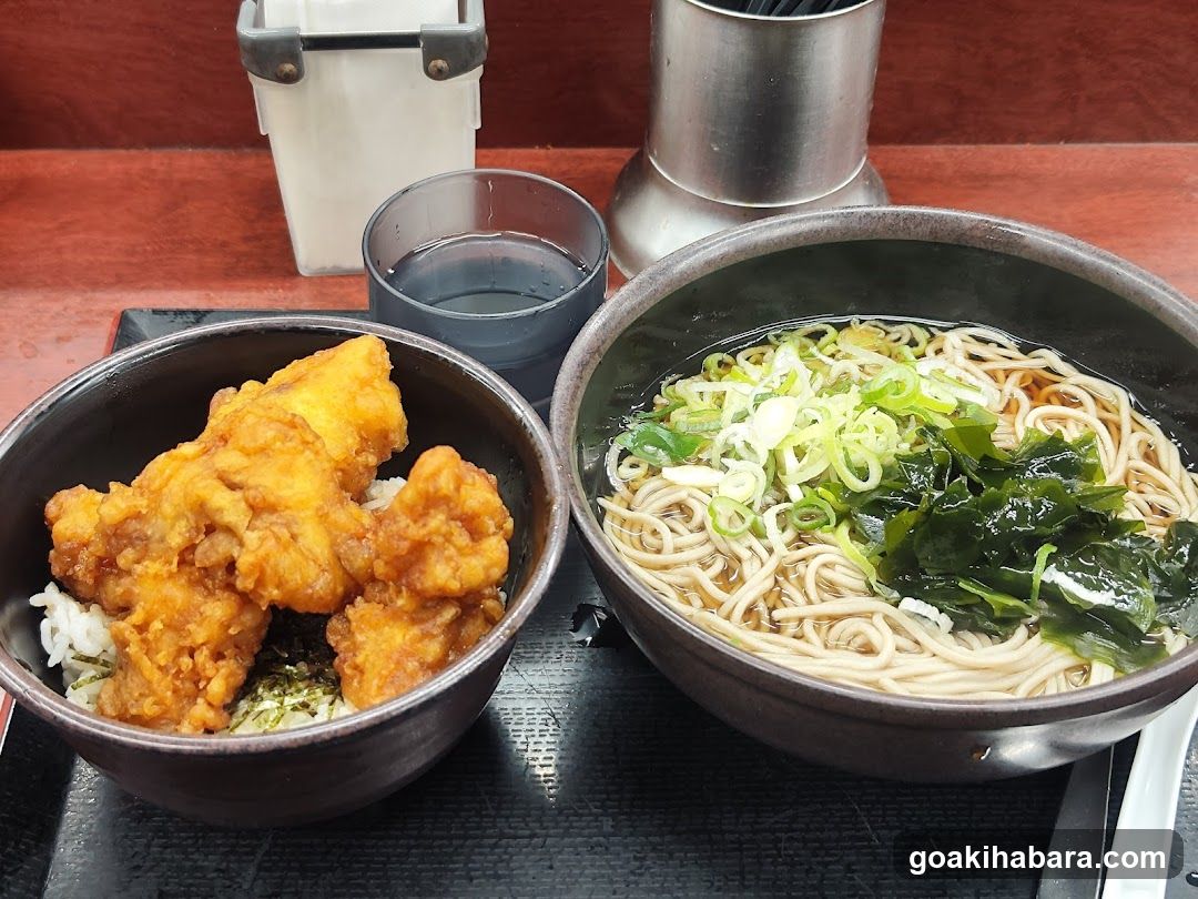 Japanese Meal with Chicken and Noodles