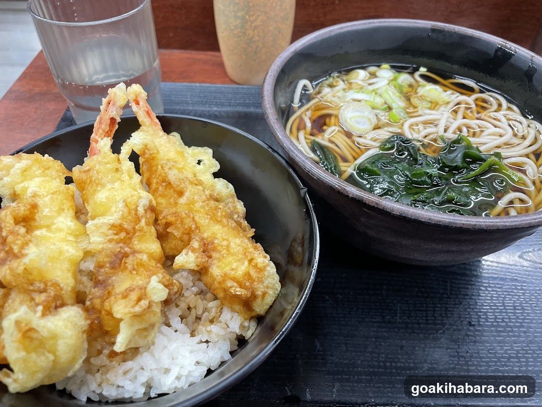 Japanese Meal with Tempura and Udon