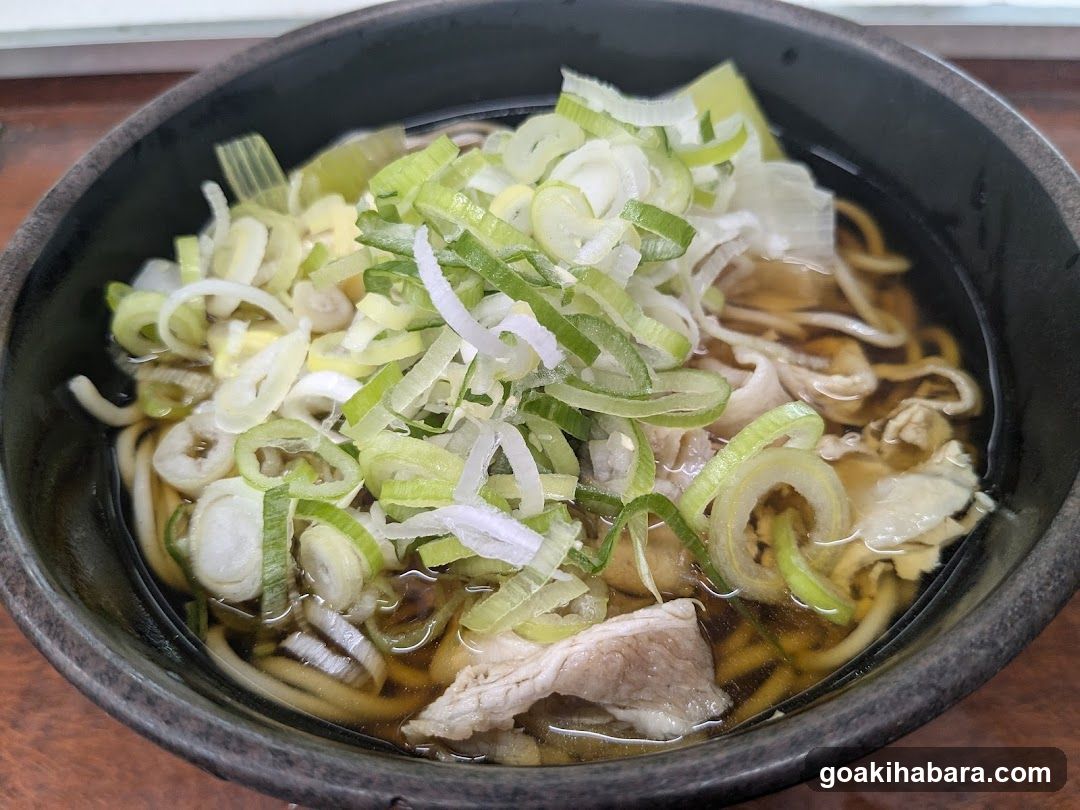 Bowl of Noodles with Scallions