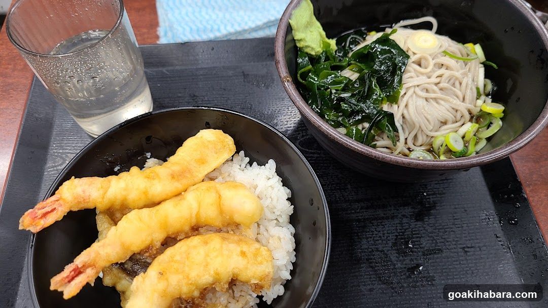 Japanese Meal with Tempura and Udon