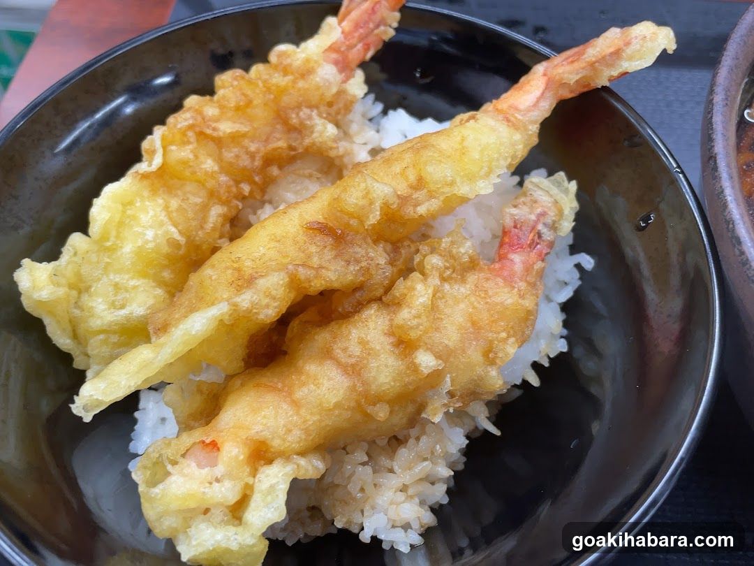 Tempura Shrimp Rice Bowl