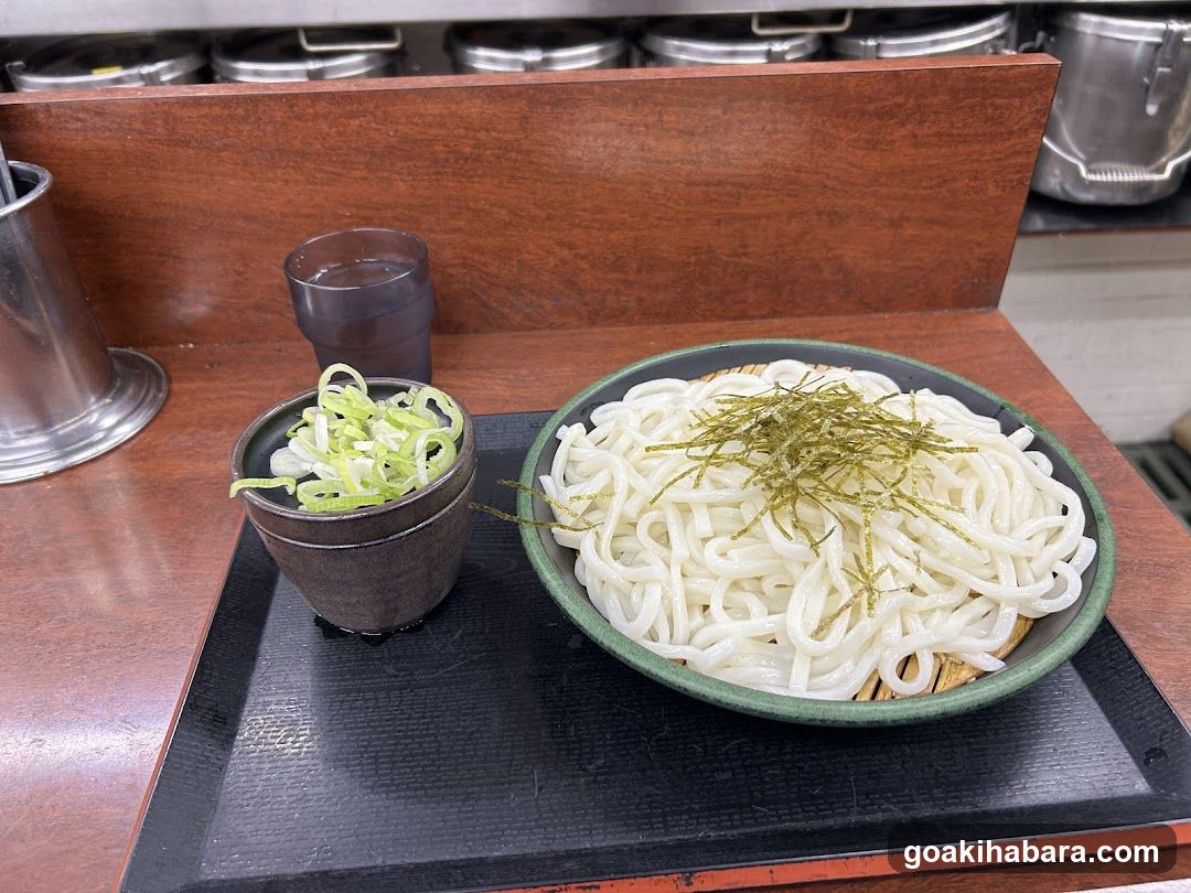 Udon Noodle Bowl with Garnish