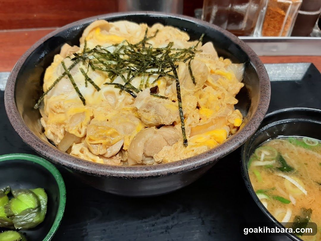 Japanese Rice Bowl Meal