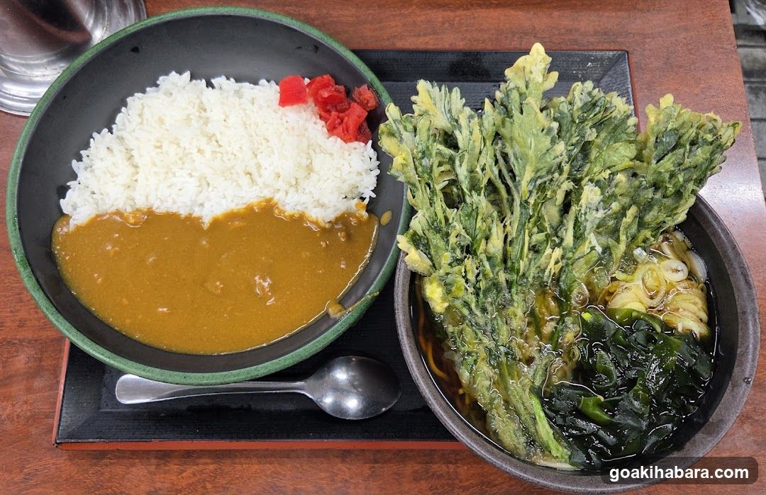 Curry Rice and Tempura Bowl Meal