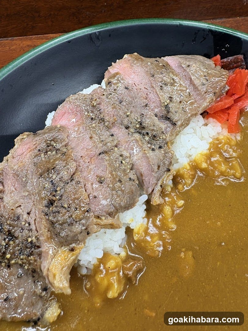 Sliced Beef Rice Bowl with Curry Sauce