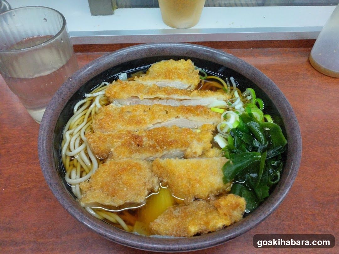 Katsu Noodle Bowl