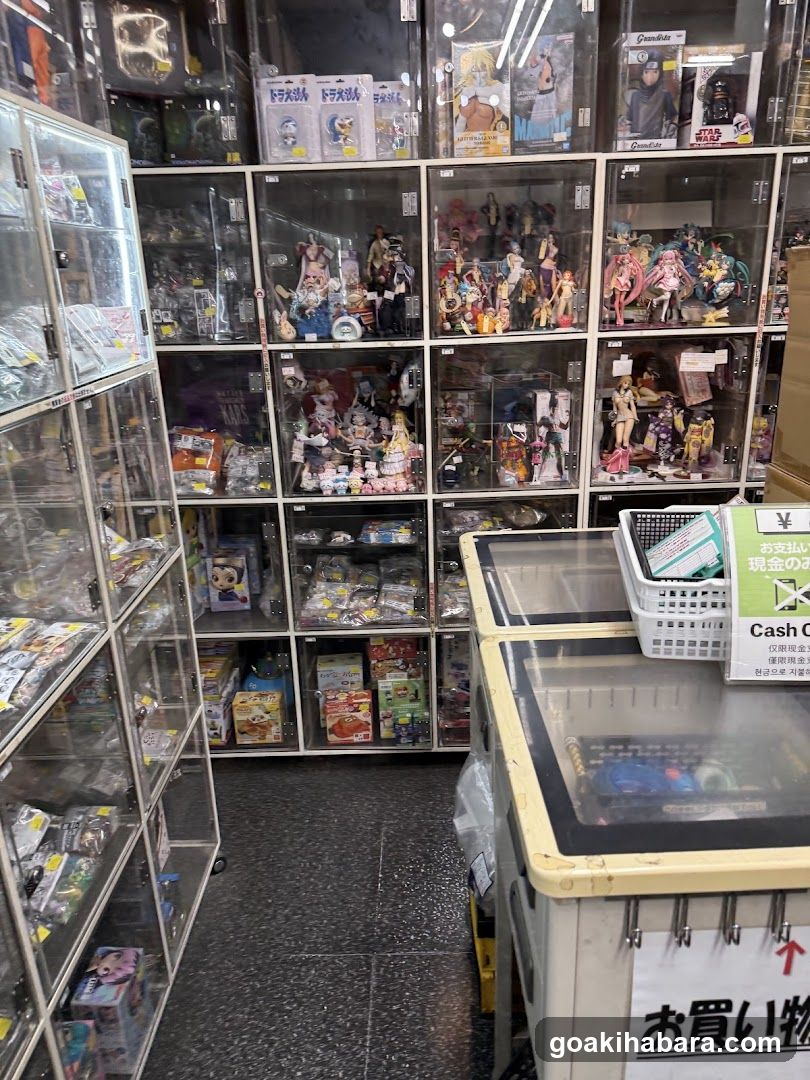 Toy and Collectibles Store Interior