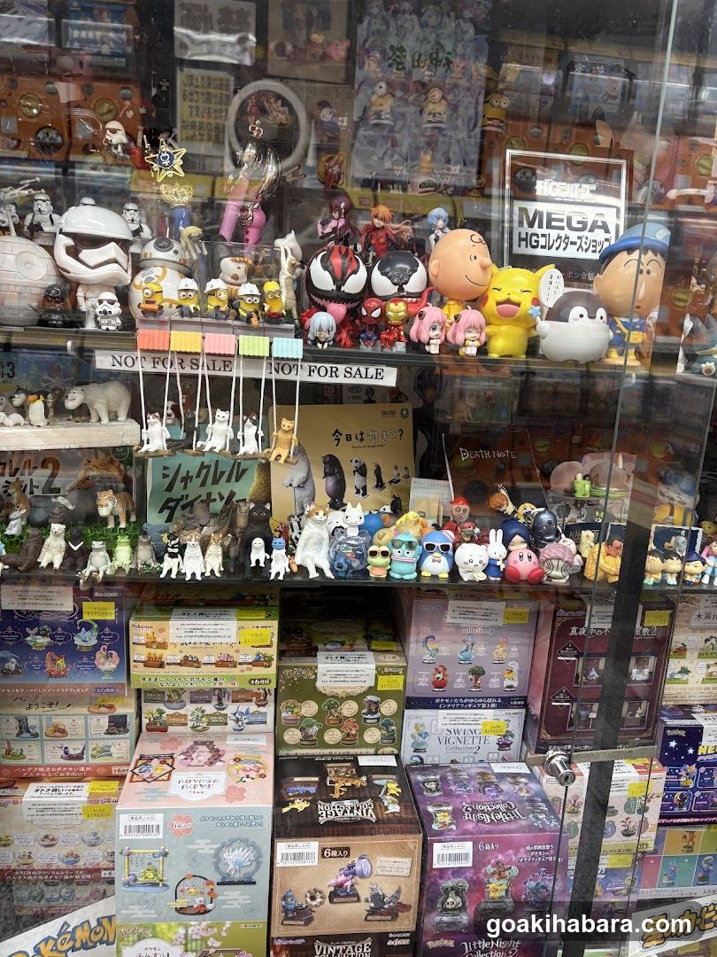 Toy and Merchandise Display