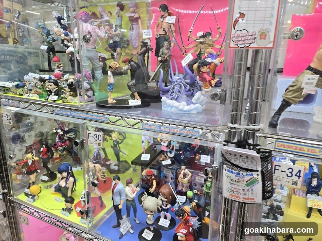 Anime Figure Display Case