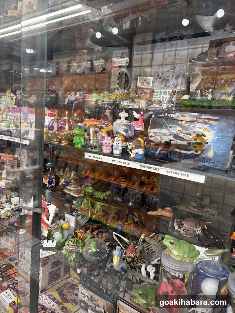 Toy Shop Display
