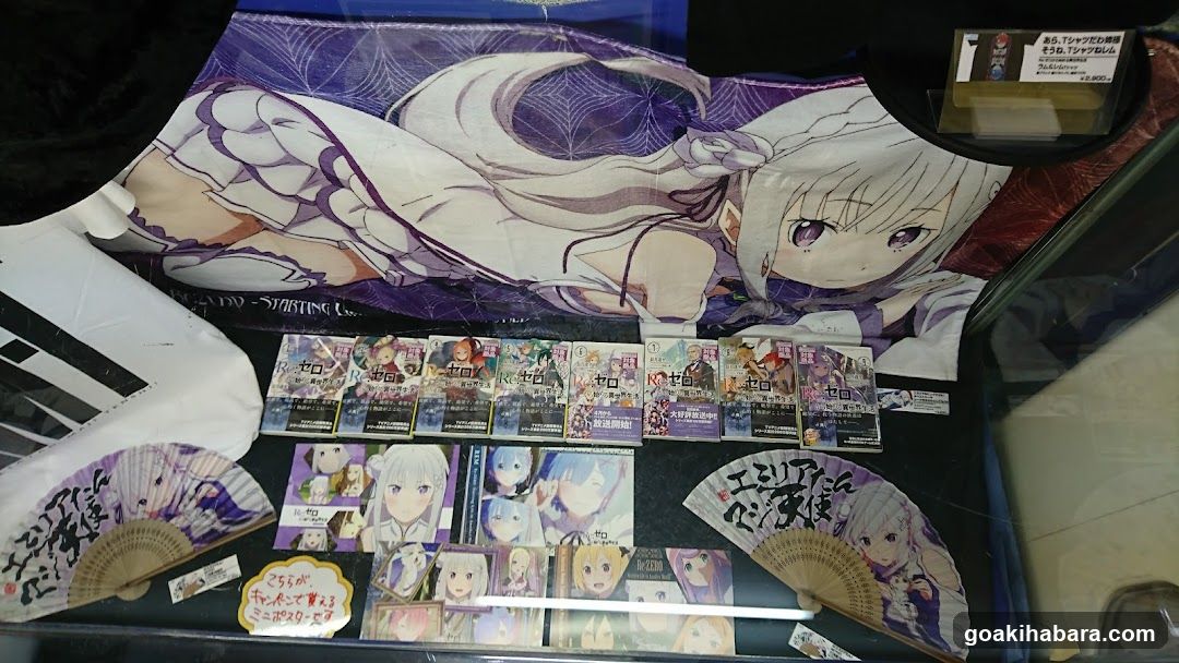 Anime Merchandise Display