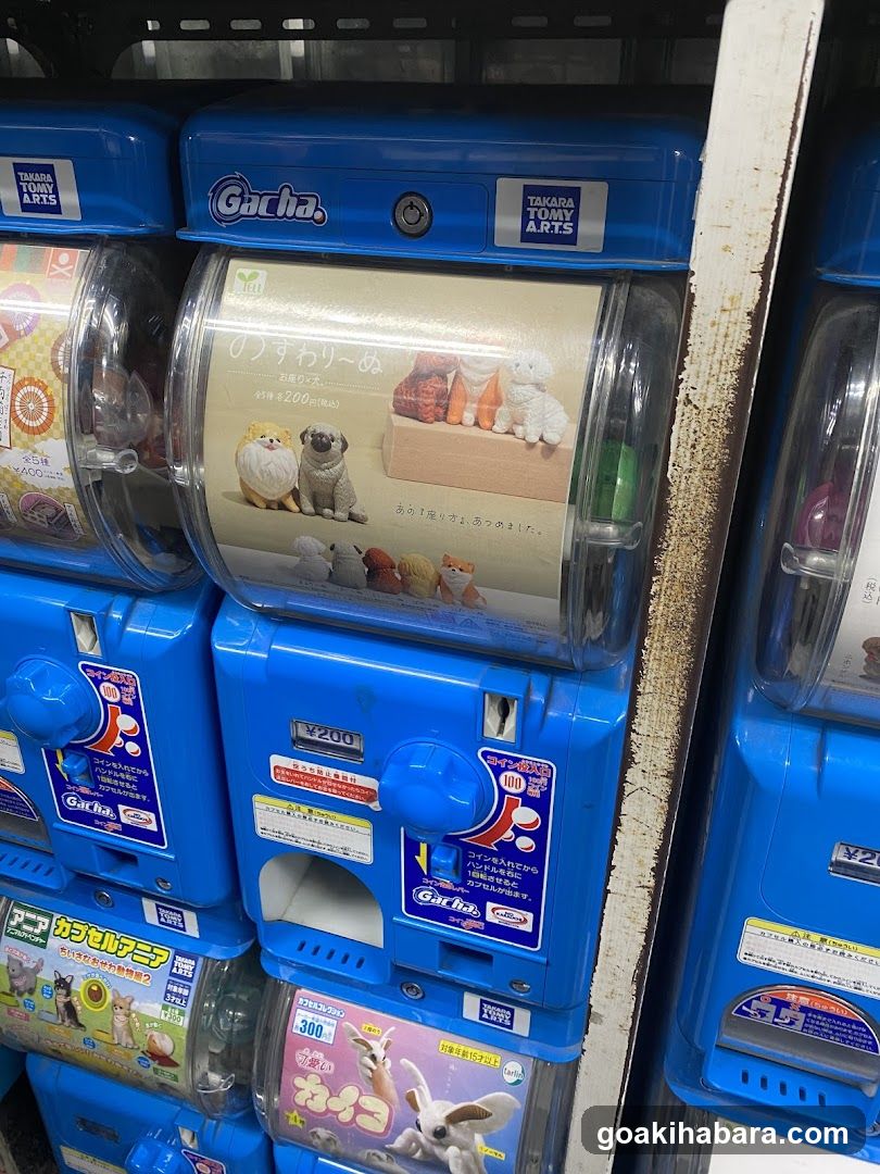 Gacha Machine Display