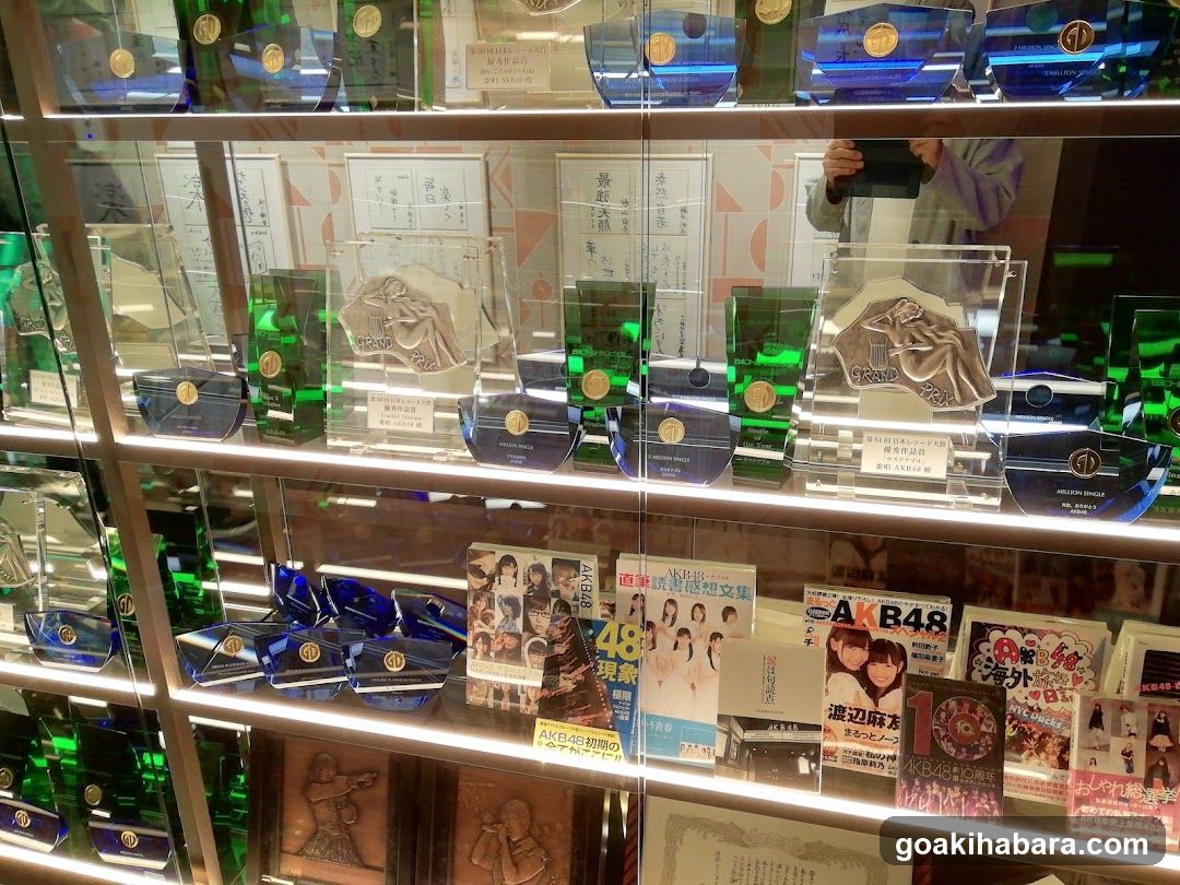 Awards and Merchandise Display Case