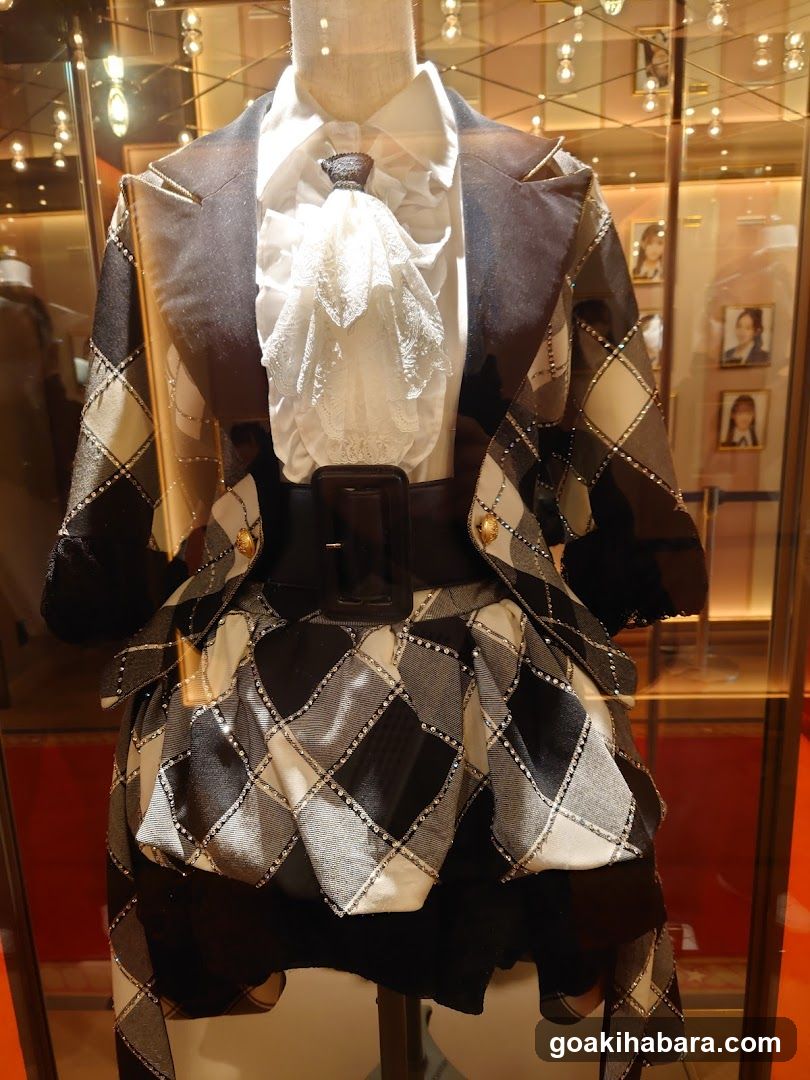 Harlequin Costume Display