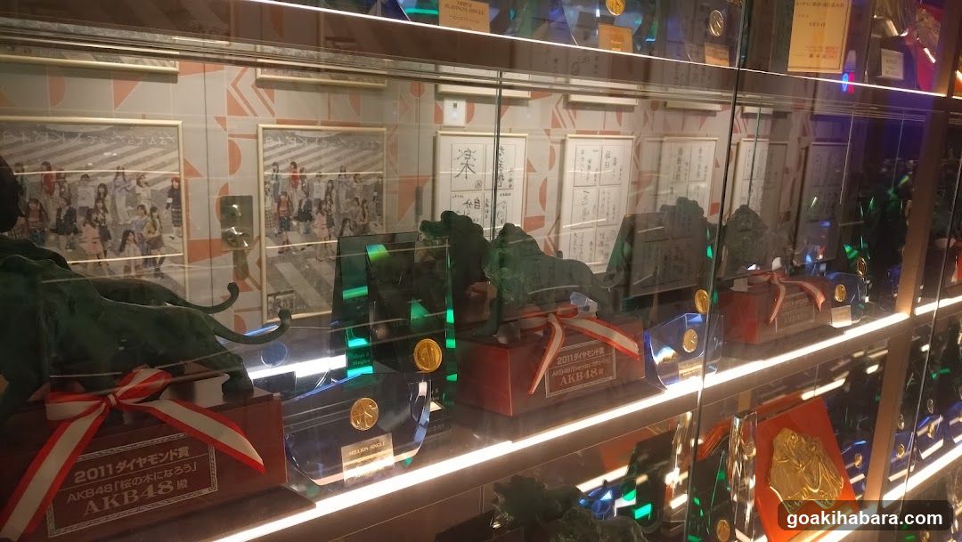 Awards Display Case