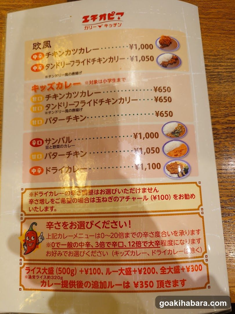 Echigami Curry Kitchen Menu